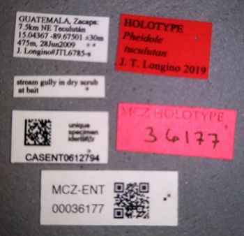 Media type: image;   Entomology 36177 Aspect: labels